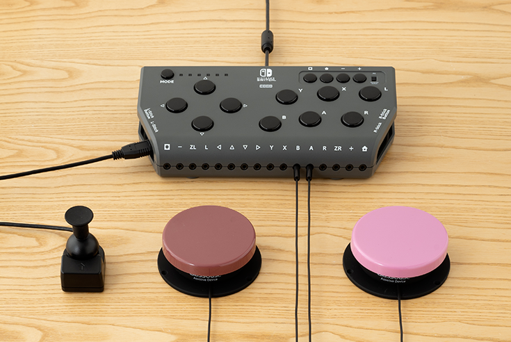 Flex Controller for Nintendo Switch1