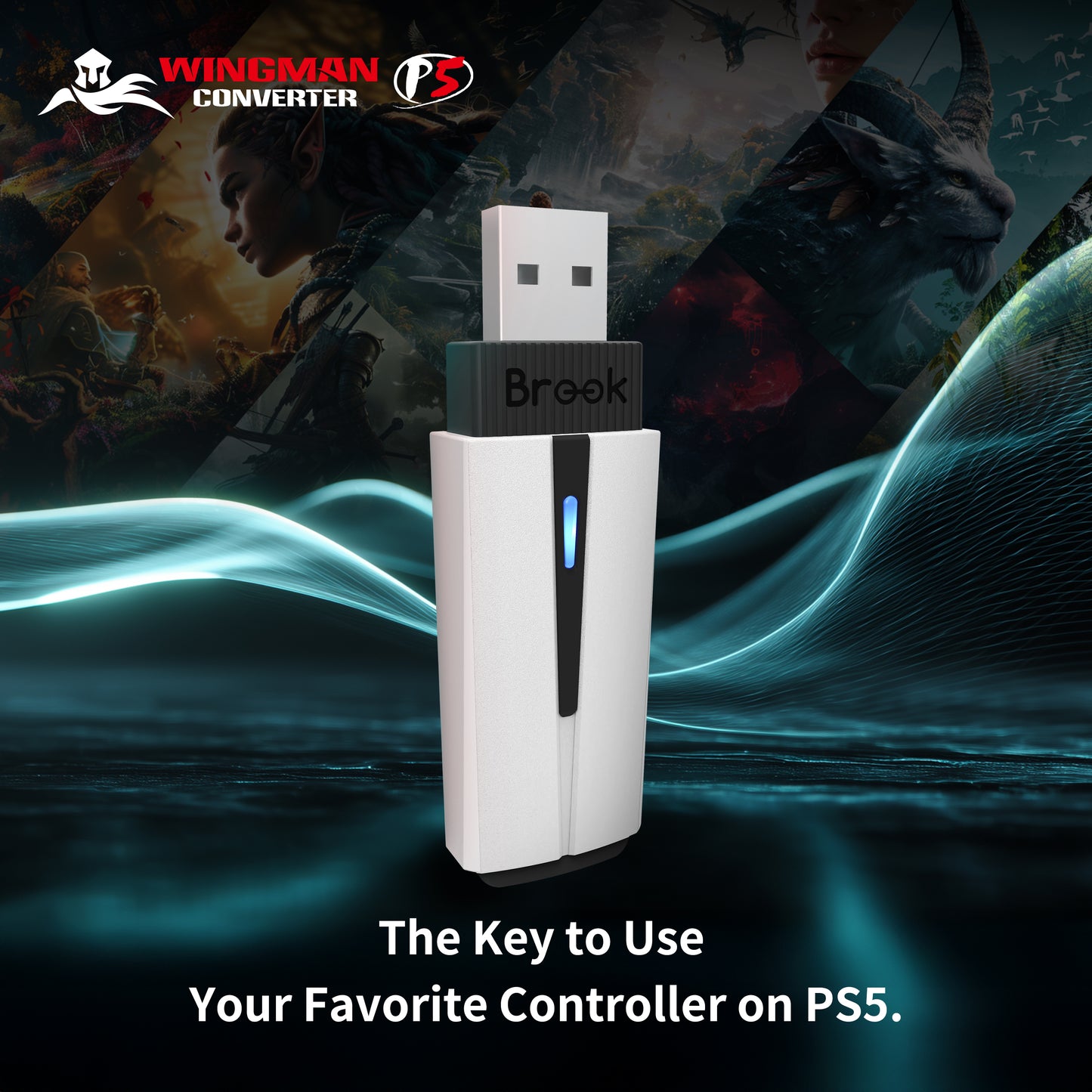 Convertisseur Brook Wingman P5