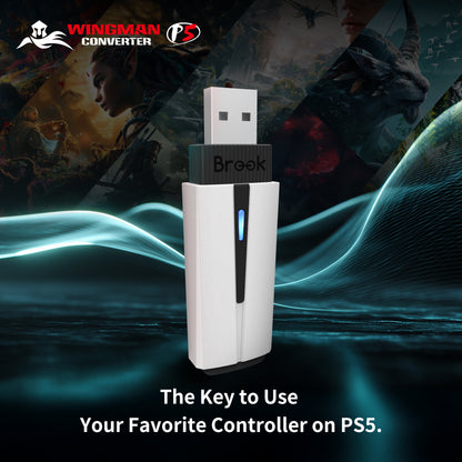 Convertisseur Brook Wingman P5