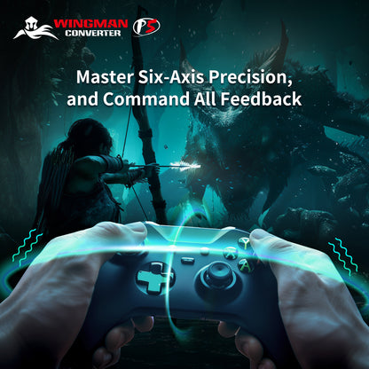 Convertisseur Brook Wingman P5