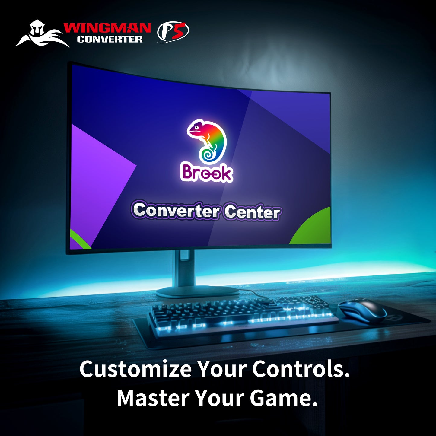 Convertisseur Brook Wingman P5