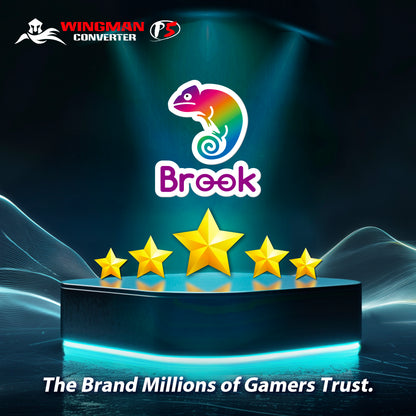 Convertisseur Brook Wingman P5